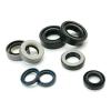 Hydraulic Seals