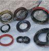 Oil Seals