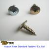 Self Tapping Screw 