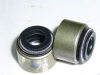 Valve Stem Seal