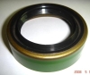 Oil Seal