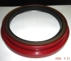 Oil  Seal