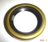 Oil Seal