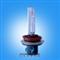 HID  Bulb