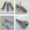 Stainless Steel Bolts