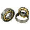 Magneto Ball Bearings