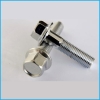 Stainless flange Bolts