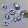 Stainless Steel Nut