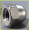 Stainless Steel Cap Nuts