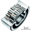 Roller Bearing