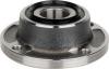 Wheel Hub Bearing