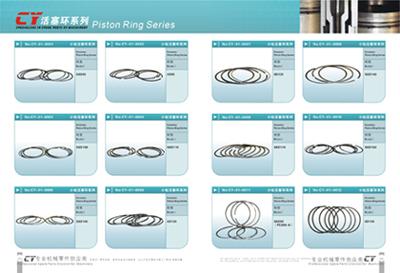 Piston Ring Of Excavator