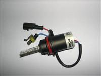 HID Xenon  Lamp