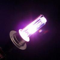 Purple Light Xenon Bulb