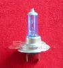 H7  Halogen Bulb