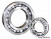 Cylindrical Roller Bearing