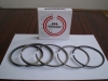 Piston Ring