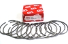 Piston Ring