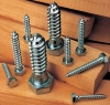 Hex Lag screw