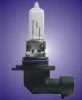 H10 Halogen Lamp