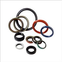 EPDM FDA & NSF Seal And Accessories