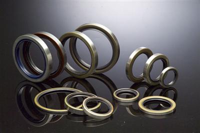 Si Rubber Seals & Gasket