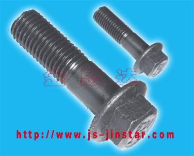 Hexagon Head Flange Bolts