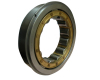 Cylindrical Roller Bearing