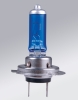 H7 Halogen Bulb