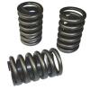 Universal Valve Spring