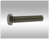 Stainless Steel Bolt