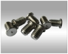 Stainless Steel Screws And Bolt