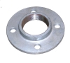 Flange