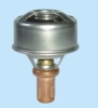 Thermostat For Renualt