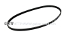 ALTERNATOR BELT