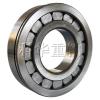 Cylindrical Roller Bearing ( Single Row )
