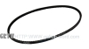 ALTERNATOR BELT