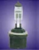 Lighting (Halogen/ HID Xenon Lamp)