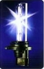 Xenon Light / Halogen Bulb)