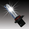 HID Lamp-H10