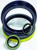 Bearing Seal