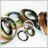 Oil Seals