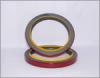 Oil Seals
