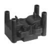 Dry Ignition Coil