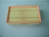 Auto Air Filters