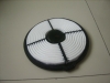 Auto Air Filters