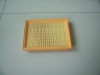 Auto Air Filters