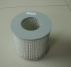 Auto Air Filters