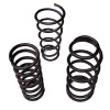 Car Suspension Springs (07)