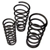 Car Suspension Springs (06)